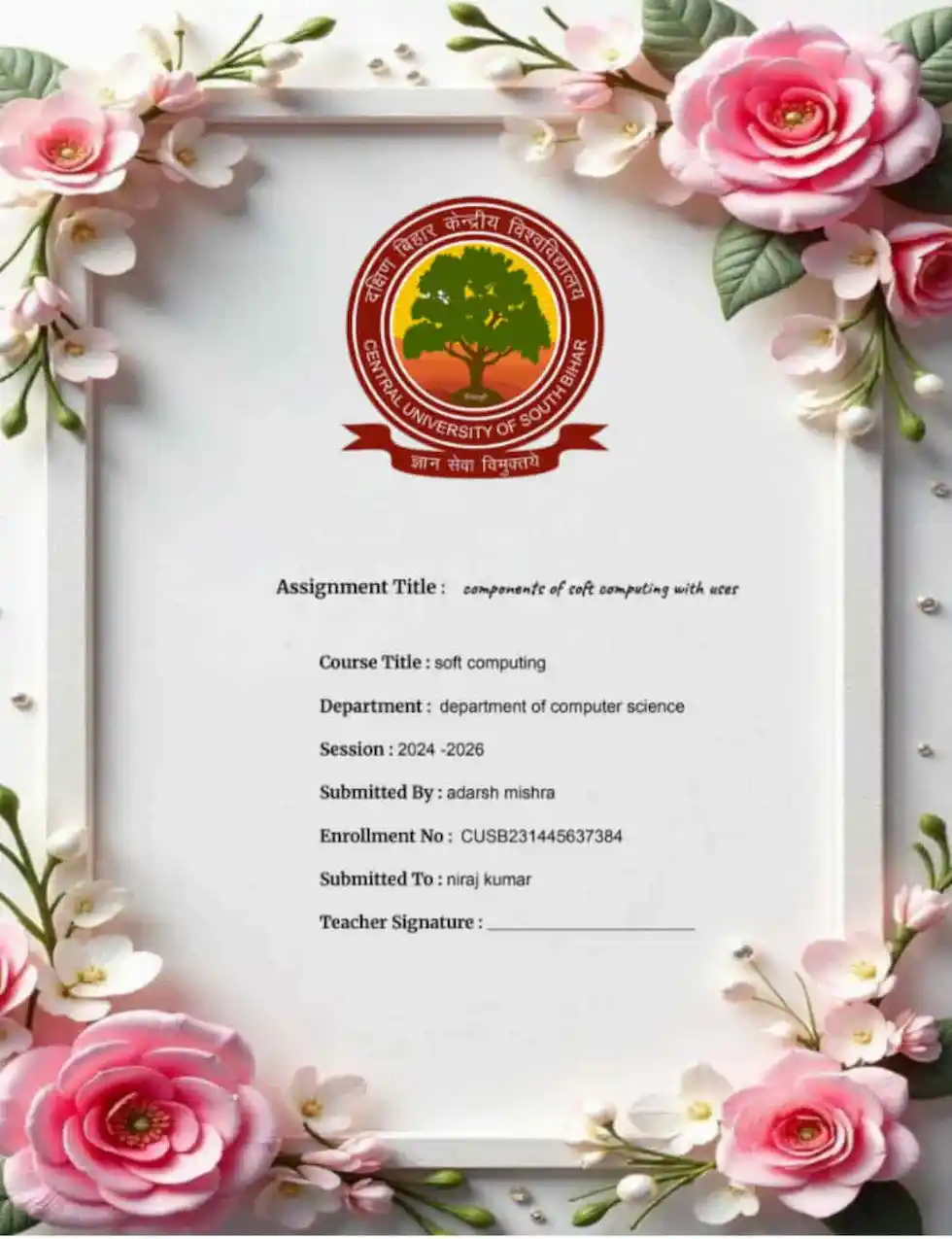 new colorfull template for assignment or projects