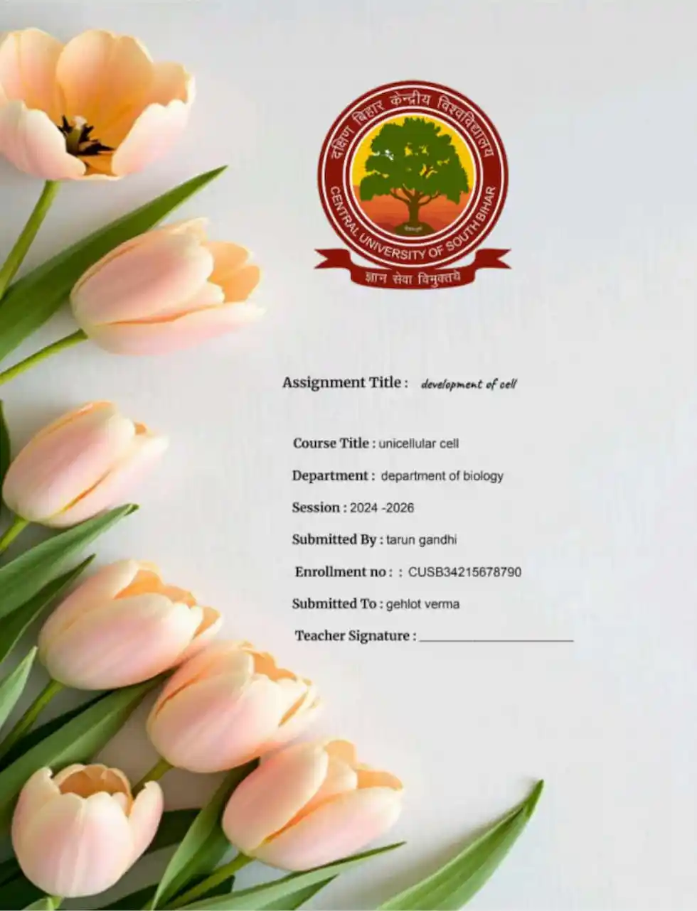 template which helps students in creating assignment